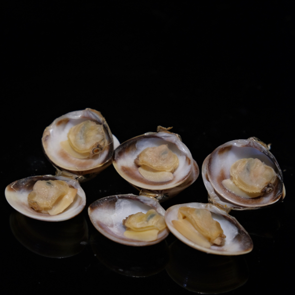 Almeja