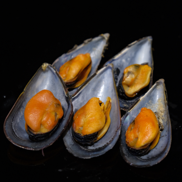 Mejillones